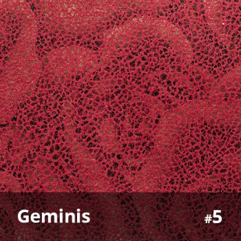 Geminis 5